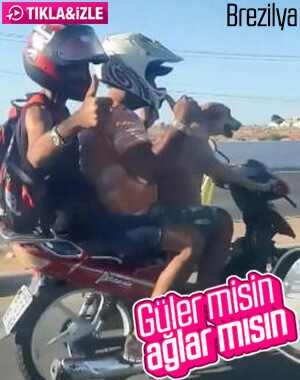Brezilya’da motosiklet süren köpek