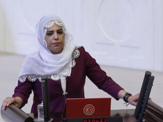 HDP'li 2 milletvekiline Erdoğan'a hakaretten soruşturma