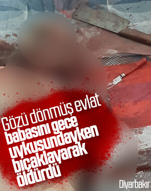 Babasını uykusunda bıçaklayarak öldürdü