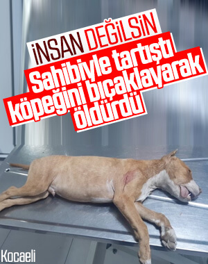 Tartıştığı gençlerin köpeğini bıçakladı