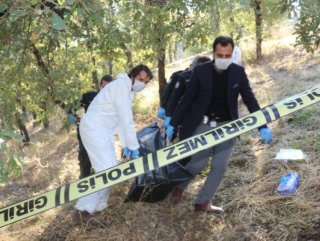 Adıyaman'da ormanlık alanda ceset bulundu