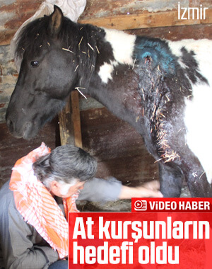 İzmir'de ata silahlı saldırı