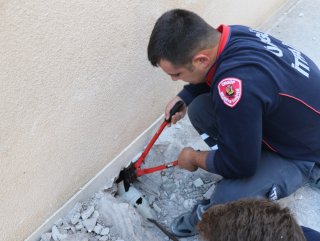Nevşehir'deki anne kedi yavrusunun kurtarılmasını bekledi