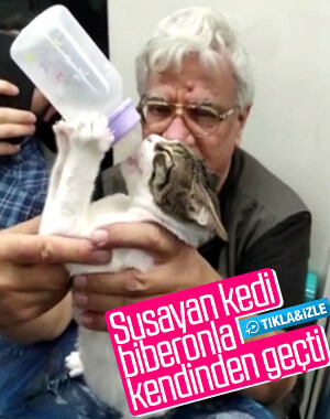 Marmaray'da kedisine biberonla su içirdi