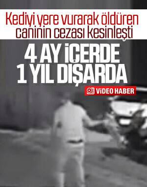 Kediyi yere vurarak öldüren cani 4 ay yatacak