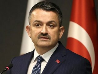 Pakdemirli: THK uçaklarının uçmayla ilgili problemi var