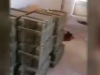 MSB: PKK/YPG'ye ait 50 adet mayın bulundu