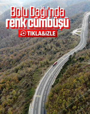 Abant Tabiat Parkı'nda sonbahar