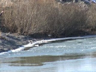Ardahan'da Kura Nehri buz tuttu