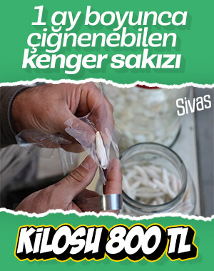Kenger sakızının kilosu 800 TL