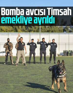 Emniyet müdürlüğünden dedektör köpeğe emeklilik partisi