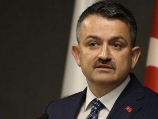 Bakan Pakdemirli: İstanbul'un 3-4 aylık suyu var