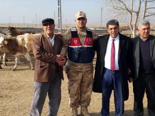 Ardahan'da çalınan büyükbaş hayvanlar Kars'ta bulundu