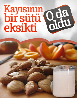 Kayısı çekirdeğinden süt üretildi