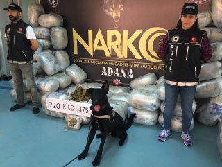 Narkotik köpeği 'Tunga' 721 kilo esrar buldu