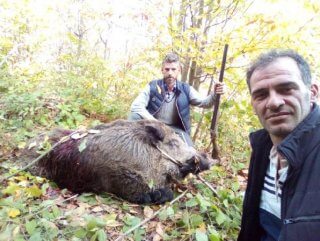 Ekili tarlalara zarar veren yaban domuzu vuruldu