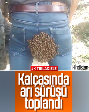 Arı sürüsü işçinin üzerine dadandı