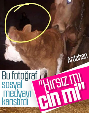 Fotoğrafa yansıyan silüet korkuttu