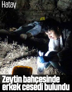 Hatay'da zeytin bahçesinde erkek cesedi bulundu