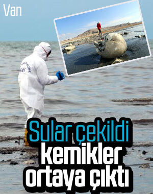 Van Gölü'nde sular çekilince insan kemikleri ortaya çıktı