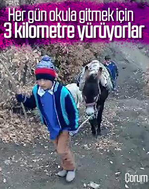 İki kardeş okula gidebilmek için her gün 3 kilometre yürüyor
