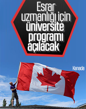 Kanada'da üniversitede esrar uzmanı yetiştirilecek