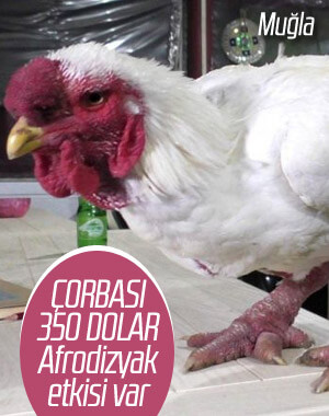 Çorbası 350 dolar olan Ejderha tavuğu