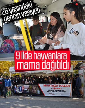 Hayvanseverden sokak hayvanlarına vasiyet