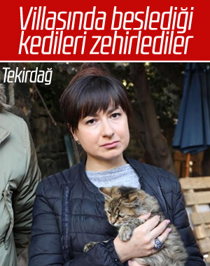 Rus uyruklu kadının kedilerini zehirlediler