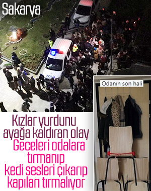 Sakarya'da kız öğrenci yurdunda kedi kız paniği