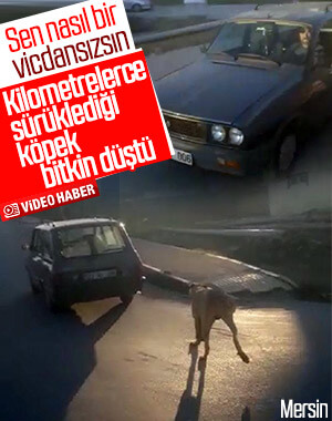 Köpeği otomobile bağlayıp, koşturdu