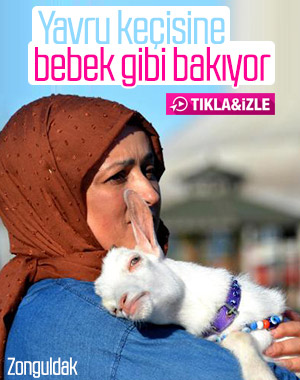 Sahiplendiği keçi yavrusuna evladı gibi bakıyor