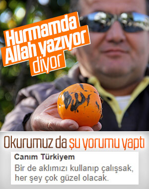 Trabzon hurmasının üzerindeki 'Allah' yazısı