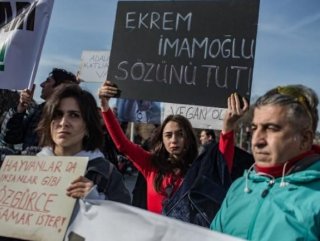 Faytonların kaldırılması için İBB önünde eylem