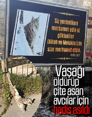 Vaşağın öldürüldüğü yere hadis yazılı tabela koyuldu
