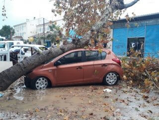 Fırtınanın devirdiği ağaç otomobili hurdaya çevirdi