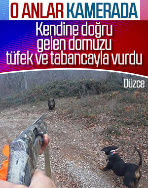 Domuz saldırısı kask kamerası ile görüntülendi