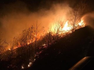 Trabzon'da yangınlar söndü: 20 kişiye yasal işlem