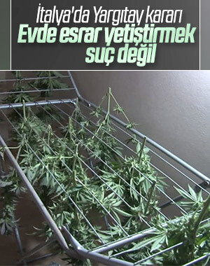 İtalya'da evde esrar yetiştiren şahsa beraat