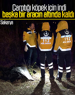 Çarptığı köpeği kontrol etmek isteyen adam öldü