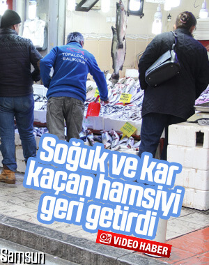 Soğuk hava tezgahları hareketlendirdi