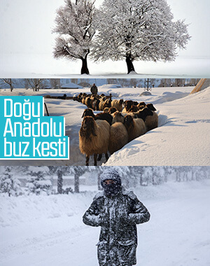 Doğu Anadolu'da kış esareti yaşanıyor