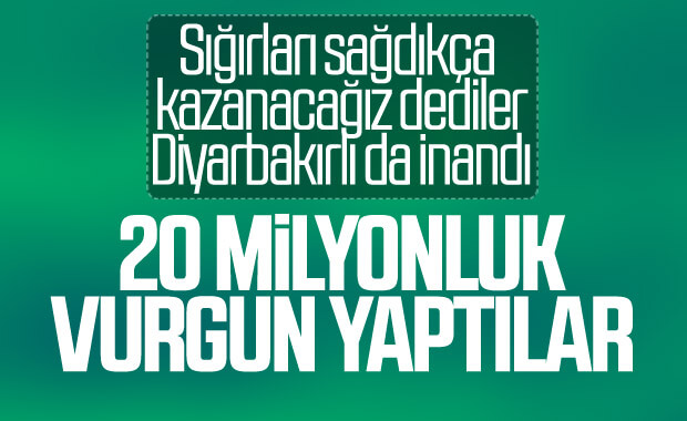 Diyarbakır'da Çiftlik Bank yöntemi dolandırıcılık