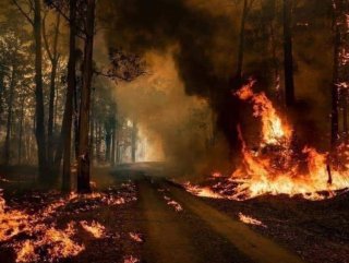 Avustralya’da birçok ülke elçiliklerini kapatıyor