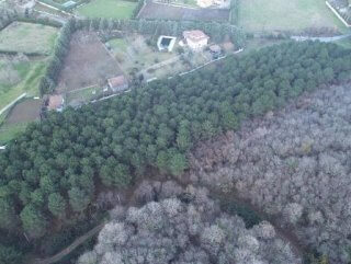 Kayıp iş adamının cesedi ormanda gömülü bulundu