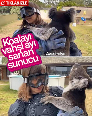Sunucuya koalayı 'vahşi ayı' diye tanıttılar