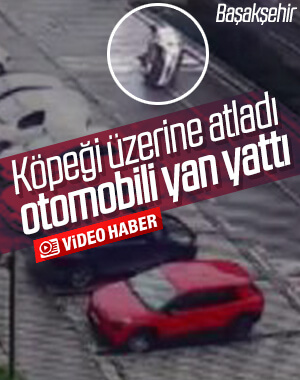 Araçtaki köpek sürücünün üzerine atladı kazaya neden oldu
