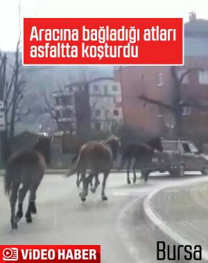 Aracına bağladığı atları sürükledi
