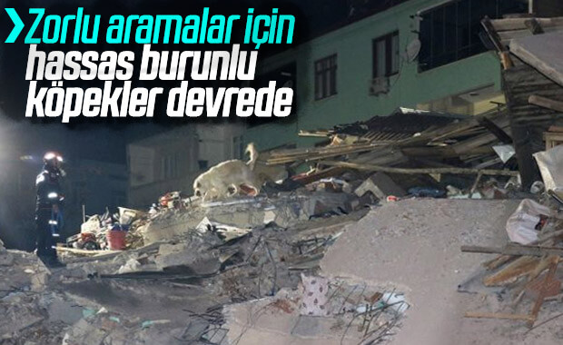 Elazığ'da enkazlar, hassas burunlu köpeklerle aranıyor