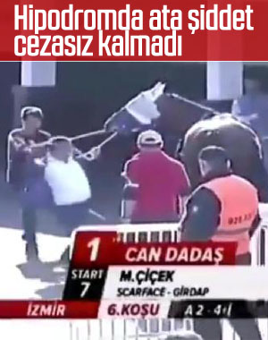 Hipodromda ata şiddet uygulayan şahsa ceza verildi